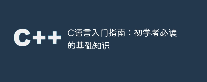 c语言入门指南:初学者必读的基础知识