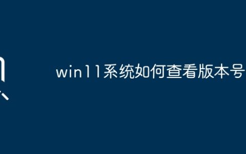 win11系统如何查看版本号