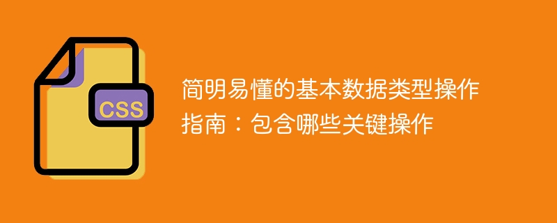 简明易懂的基本数据类型操作指南:包含哪些关键操作