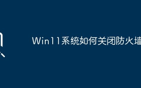Win11系统如何关闭防火墙