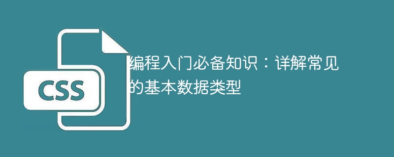 编程入门必备知识:详解常见的基本数据类型