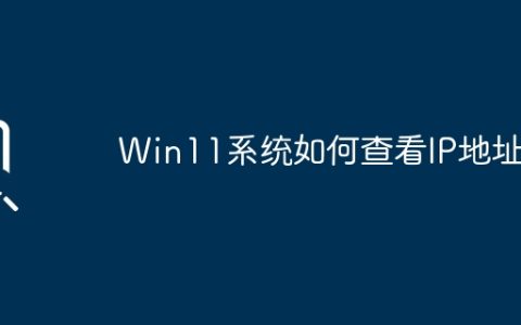Win11系统如何查看IP地址
