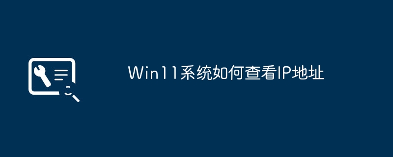 Win11系统如何查看IP地址