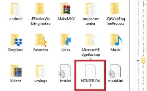 ntuser.dat文件可不可以删除详情介绍