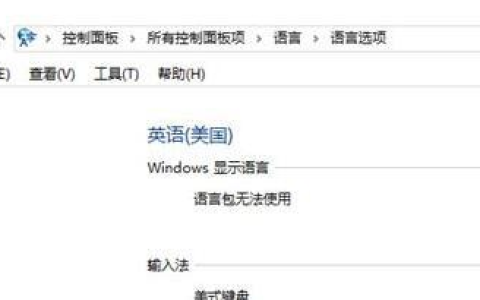 Win10英文语言无法使用怎么办