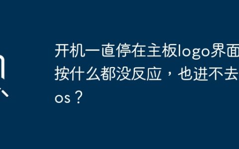 开机一直停在主板logo界面，按什么都没反应，也进不去bios？
