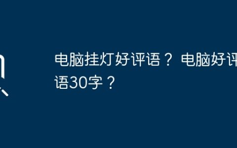 电脑挂灯好评语？ 电脑好评语30字？