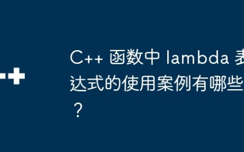 C++ 函数中 lambda 表达式的使用案例有哪些？