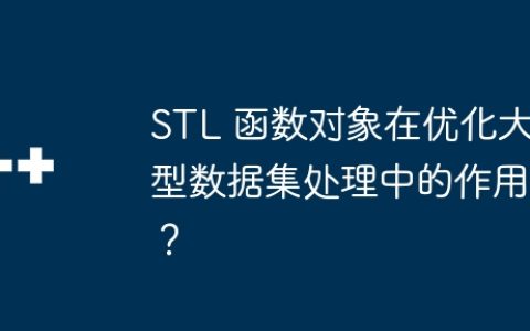 STL 函数对象在优化大型数据集处理中的作用？