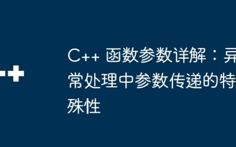 C++ 函数参数详解：异常处理中参数传递的特殊性