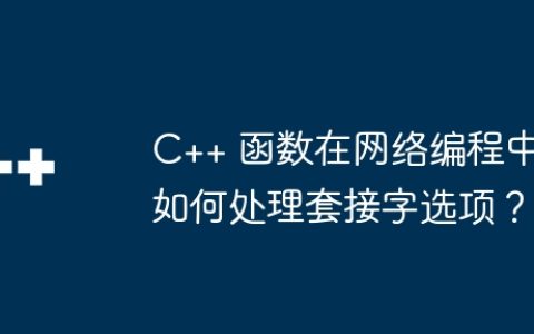 C++ 函数在网络编程中如何处理套接字选项？