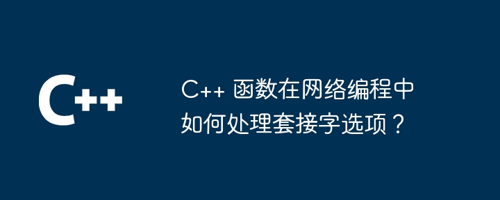 C++ 函数在网络编程中如何处理套接字选项?