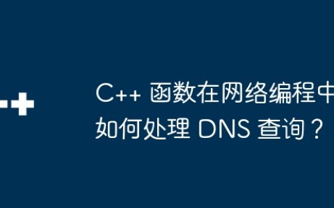 C++ 函数在网络编程中如何处理 DNS 查询？
