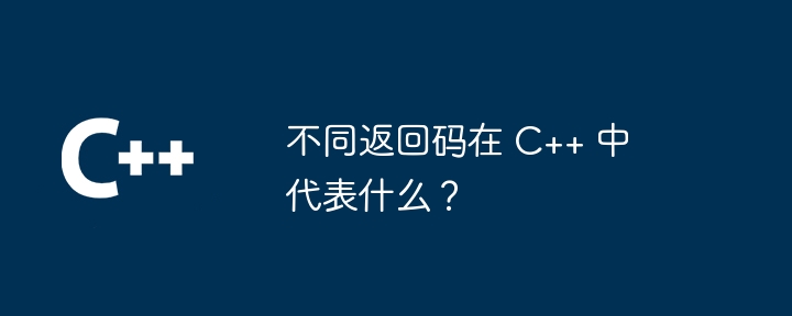 不同返回码在 C++ 中代表什么?
