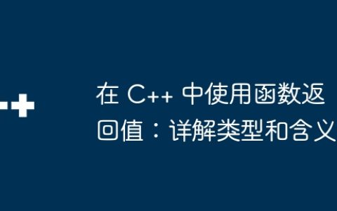 在 C++ 中使用函数返回值：详解类型和含义