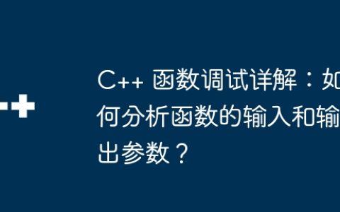 C++ 函数调试详解：如何分析函数的输入和输出参数？