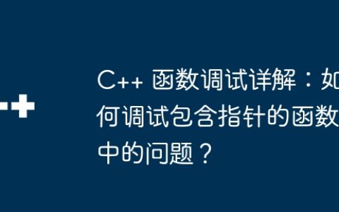 C++ 函数调试详解：如何调试包含指针的函数中的问题？