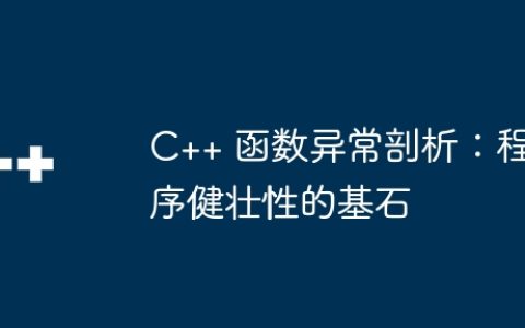 C++ 函数异常剖析：程序健壮性的基石