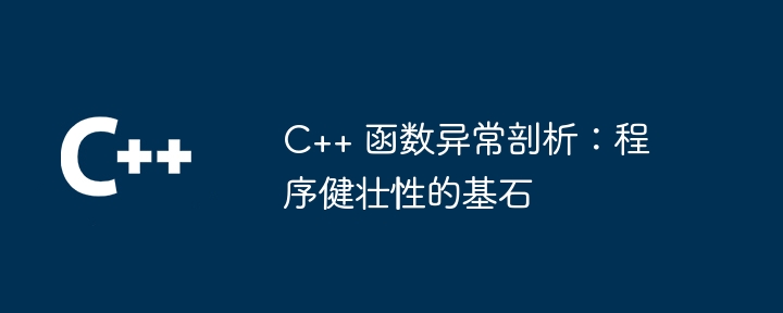 C++ 函数异常剖析:程序健壮性的基石