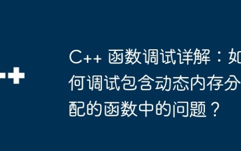 C++ 函数调试详解：如何调试包含动态内存分配的函数中的问题？