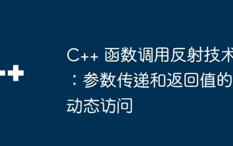 C++ 函数调用反射技术：参数传递和返回值的动态访问