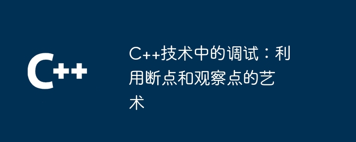 C++技术中的调试:利用断点和观察点的艺术