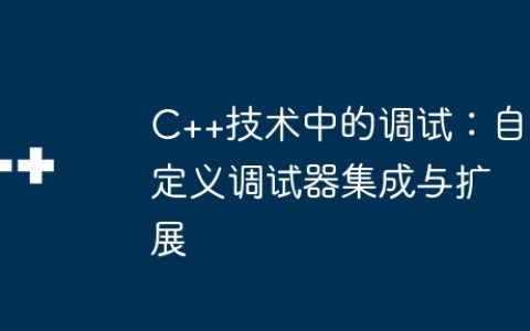 C++技术中的调试：自定义调试器集成与扩展