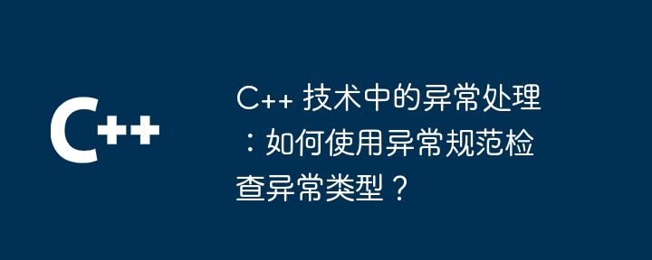 C++ 技术中的异常处理:如何使用异常规范检查异常类型?