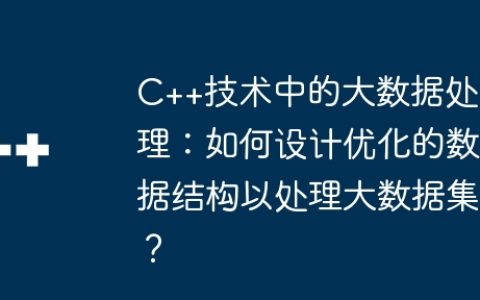 C++技术中的大数据处理：如何设计优化的数据结构以处理大数据集？
