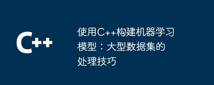 使用C++构建机器学习模型:大型数据集的处理技巧