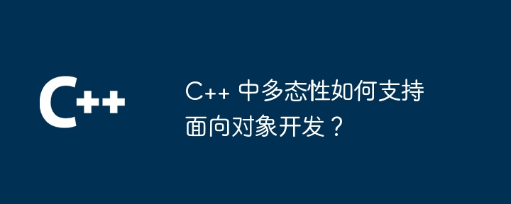 C++ 中多态性如何支持面向对象开发?