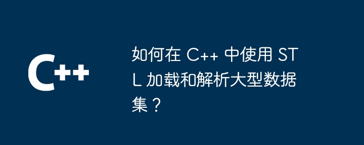 如何在 C++ 中使用 STL 加载和解析大型数据集?