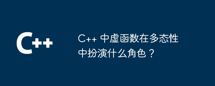 C++ 中虚函数在多态性中扮演什么角色?