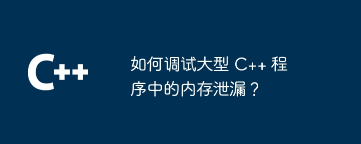 如何调试大型 C++ 程序中的内存泄漏?