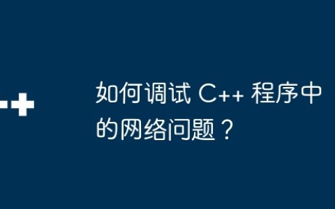 如何调试 C++ 程序中的网络问题？