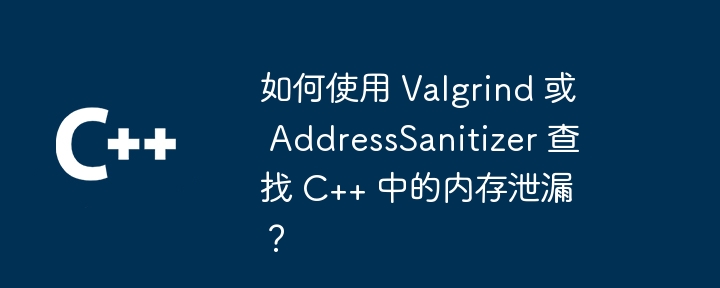 如何使用 Valgrind 或 AddressSanitizer 查找 C++ 中的内存泄漏?