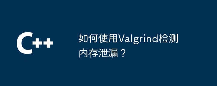 如何使用Valgrind检测内存泄漏?