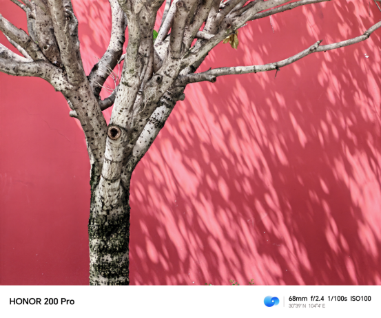 荣耀200 Pro上手:雅顾光影写真大师 媲美单反
