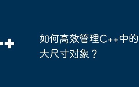 如何高效管理C++中的大尺寸对象？