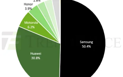 距超越三星仅一步之遥！华为今年将拿下全球30.8%折叠屏手机份额