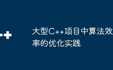 大型C++项目中算法效率的优化实践
