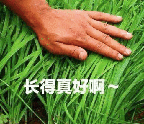 《剑网3无界》实现15年数据端手游互通,玩家馋哭了!喊话自家MMO好好学