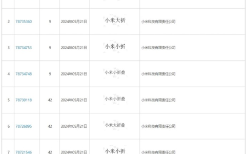 小米提交8个折叠屏相关商标申请：小米大折、小米小折都来了