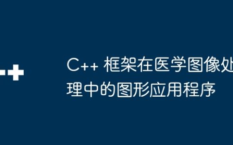 C++ 框架在医学图像处理中的图形应用程序
