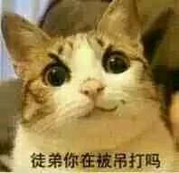 在这款15年老端游的手机版中,正在上演着“萌新拯救计划”