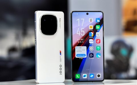 曝iQOO 13系列Pro版停止研发：标准版史诗级加强 一部即全部