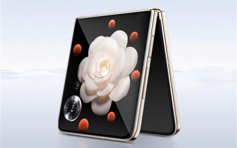 最香小折叠！荣耀Magic V Flip获5K-8K折叠屏首销日销量冠军：4999元