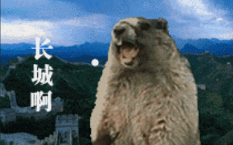 守护之心燃遍凛冬！《魔域》公益新玩法，让爱无界！