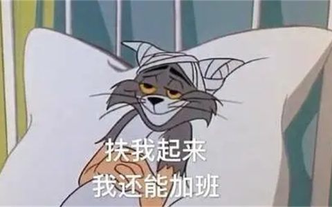 158只啾啾，你不打工，有得是啾啾打工！