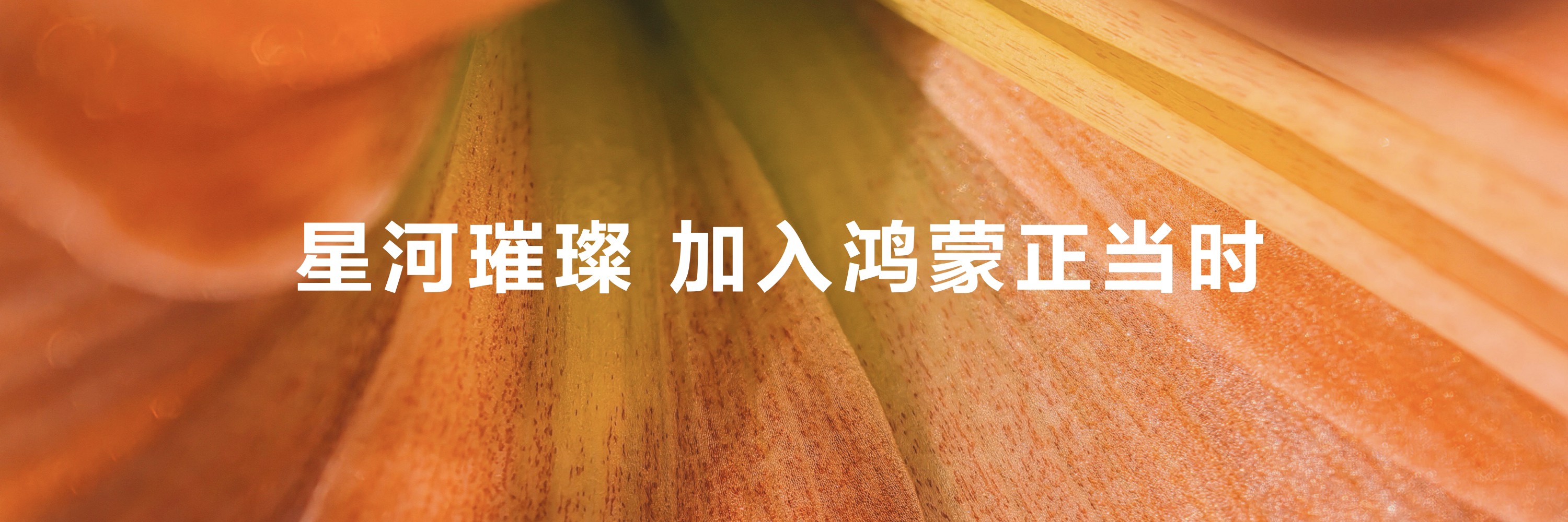 鸿蒙再进化,原生游戏商用化进程加速